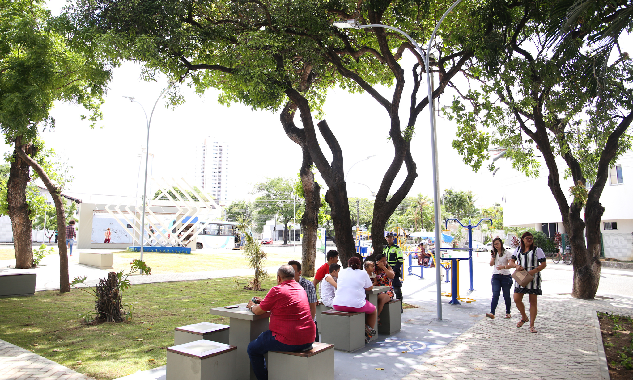 visão geral de uma praça, com bancos e árvores